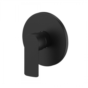 Concealed Mixer