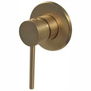 Concealed Shower Mixer