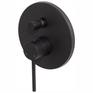 Concealed Diverter Mixer
