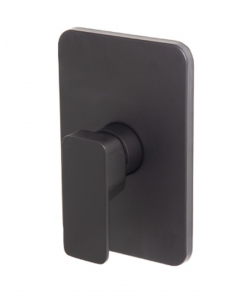 Concealed Shower Mixer