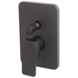 Concealed Diverter Mixer