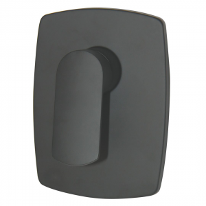Concealed Mixer