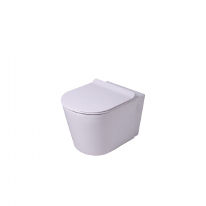 VAAL ENTICE PAN W/SEAT W/HUNG 568X354 WH