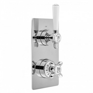 1 Outlet, 2 Handle Concealed Thermostatic Valve